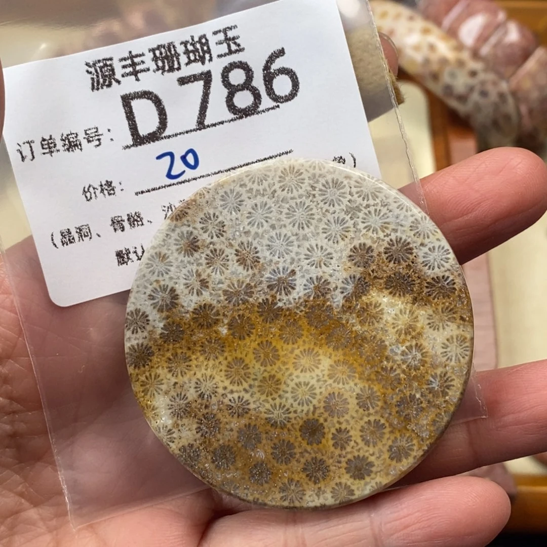 心***夜硅化玉未镶嵌颈饰