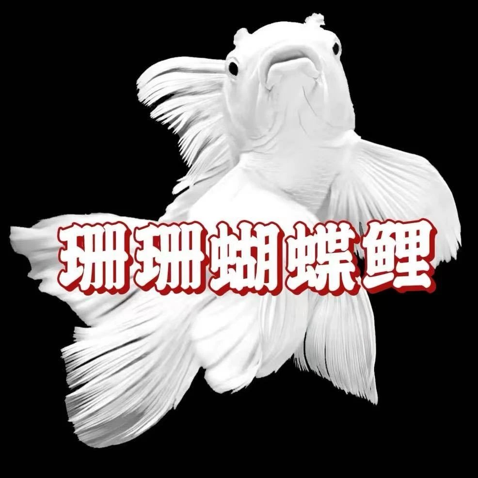 精品普身蝴蝶鲤直播间一物一拍对版发货跑单退单拉黑