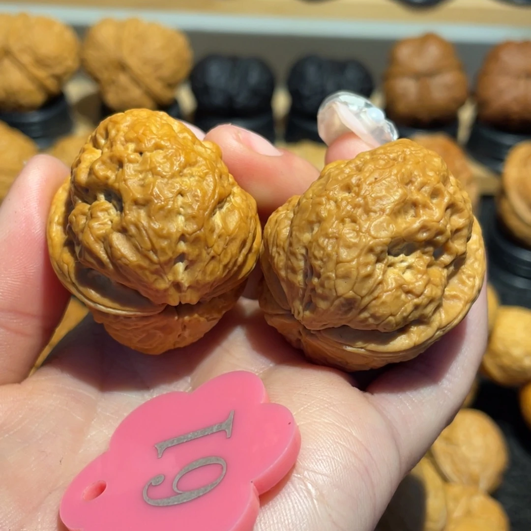 粗筋帝王蟾39。