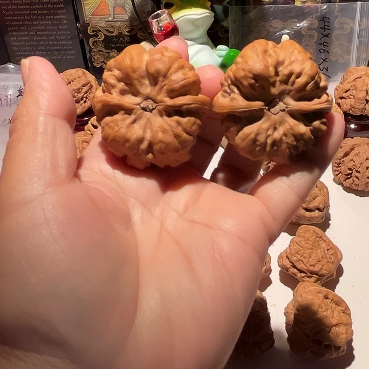 左***孓龙脊菩提吊坠蛤蟆头一对