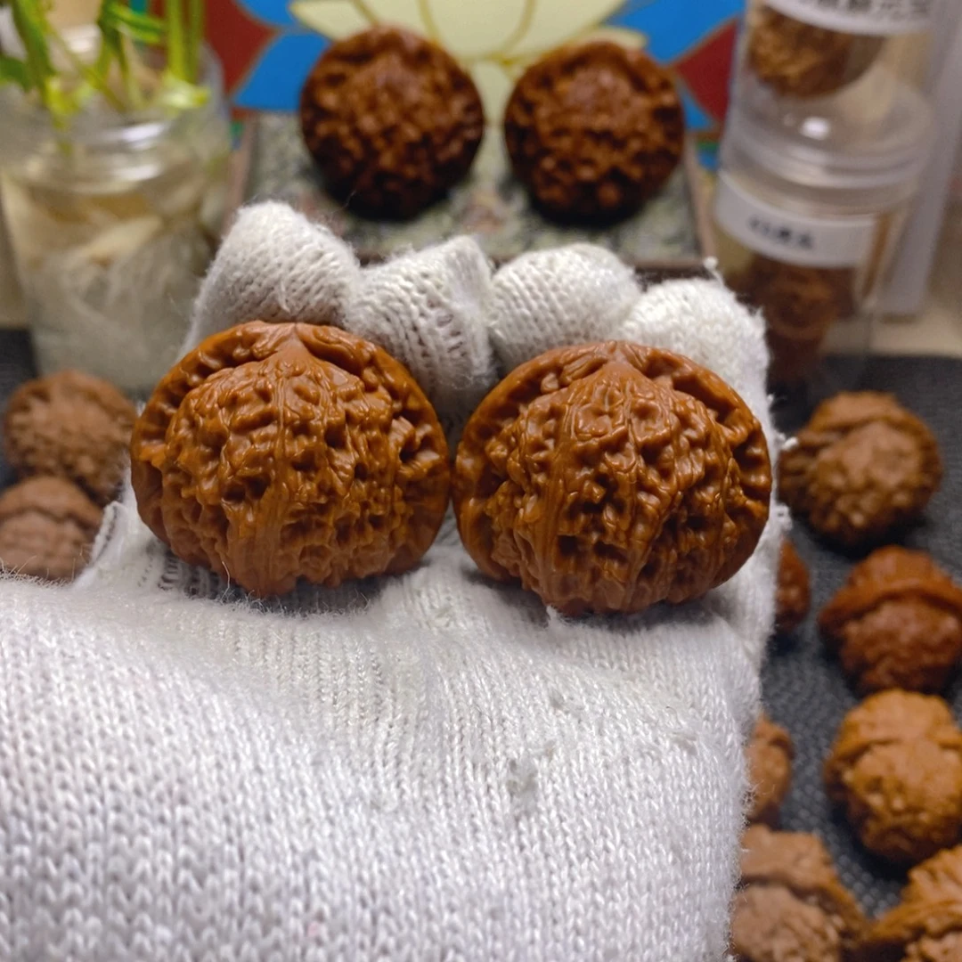 核桃42白狮子回血对球白