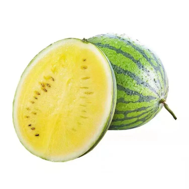 黄心西瓜一个约1800g-2000g河北省
