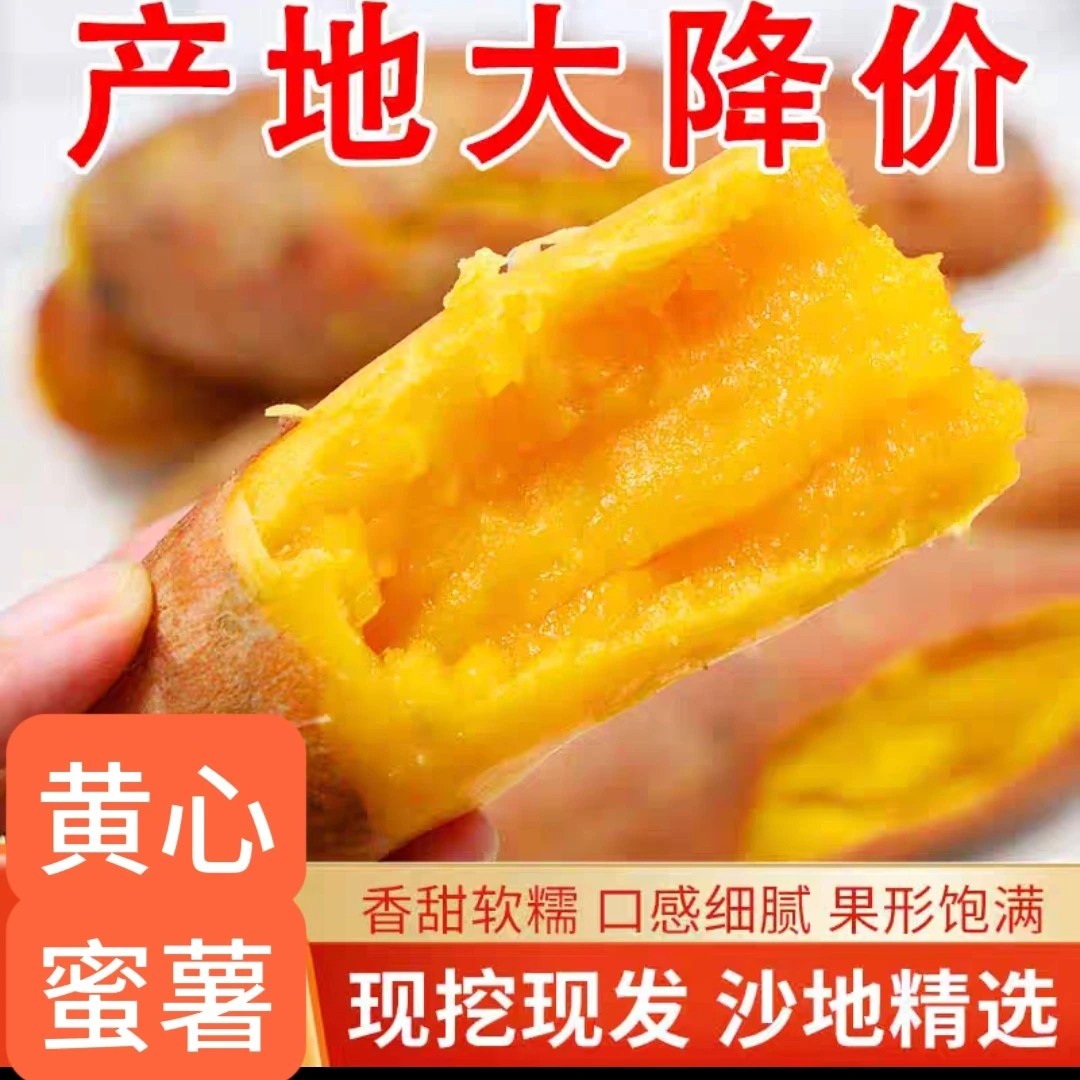 现挖现发黄心蜜薯黑土地精选优质蜜薯鲜红薯营养丰富粉糯香甜