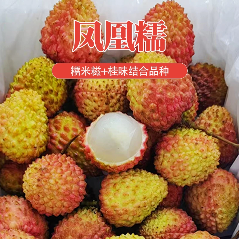 新款荔枝 ‘凤凰糯’  糯米糍+桂味结合品种净重5斤