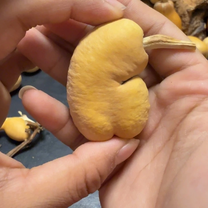 璞***緣88…………………………………………