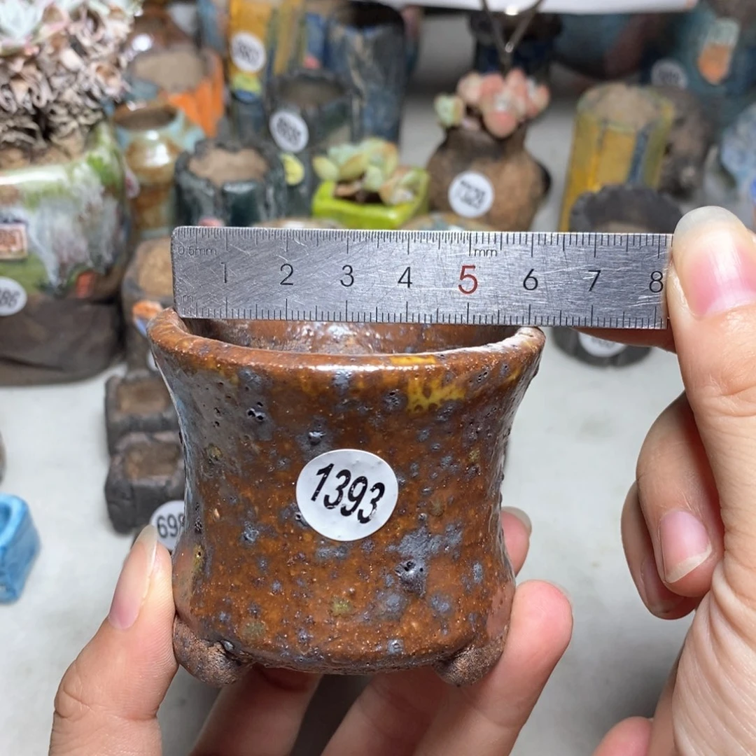 拍3送一9.9的拍5送同款