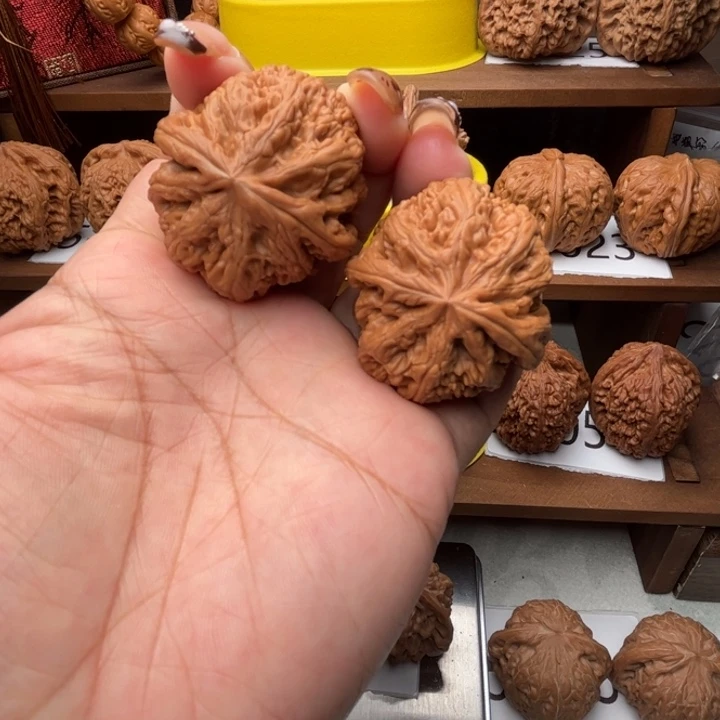 核桃粗筋40全品5040