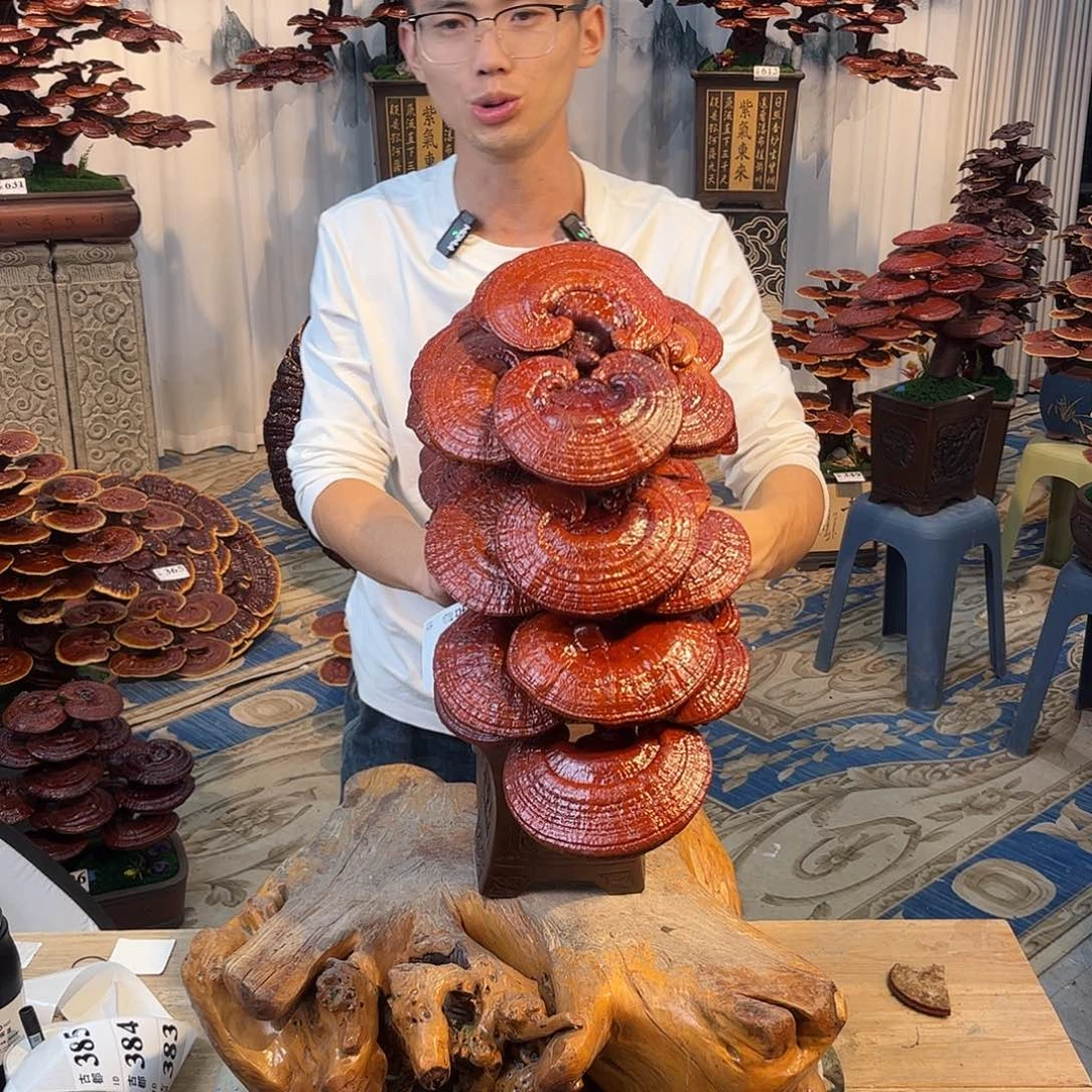 无花朵888888888888999