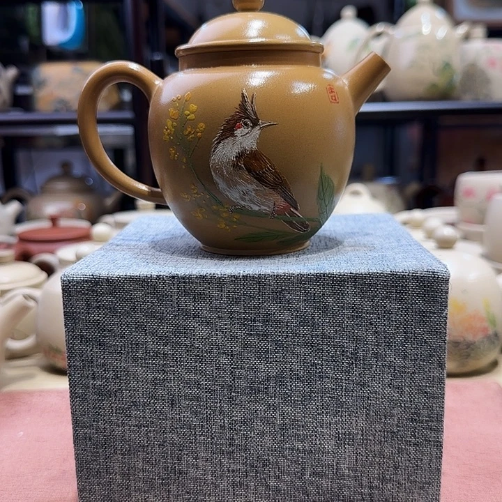 鱼***宥sdfgjkwetyui134567789