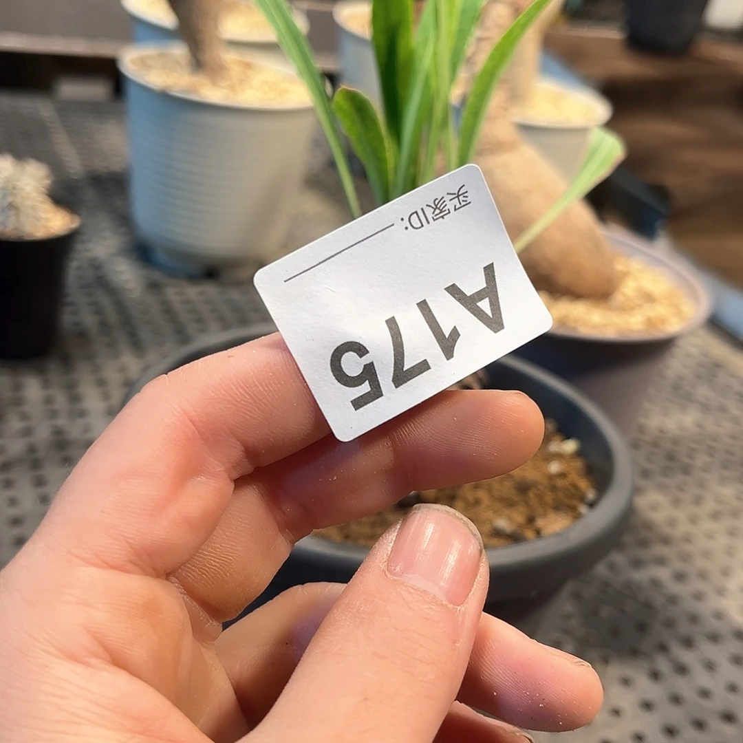 过**系1111111111111111111