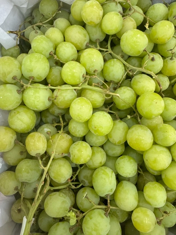 （杆干正常现象）甜地球，每份1.5斤，秘鲁