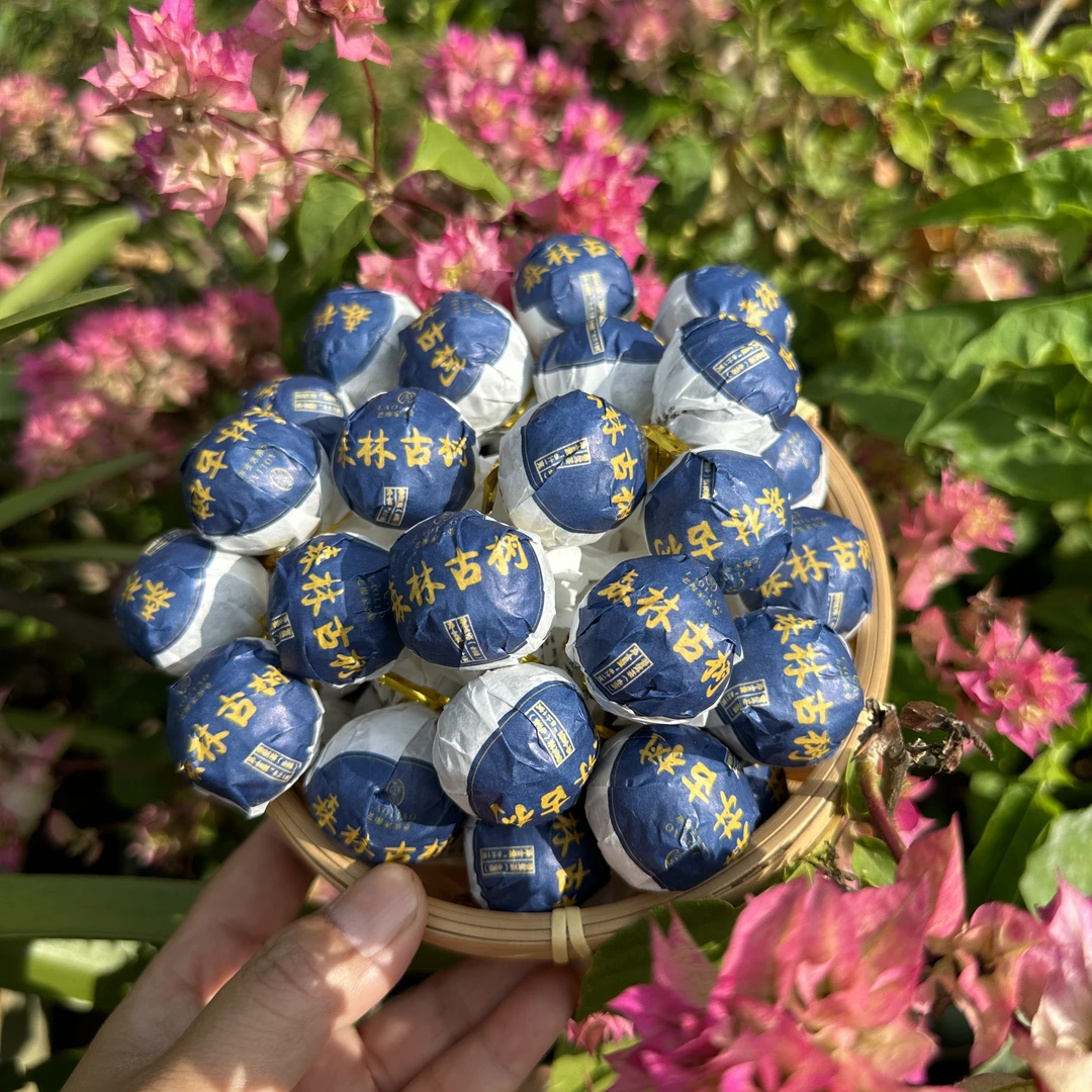 新品【昔归高杆】24年昔归森林高杆古树龙珠清香清甜回甘持久8克