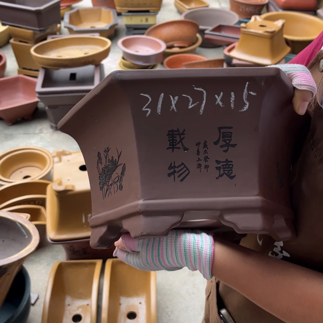 花盆紫砂盆景艺术