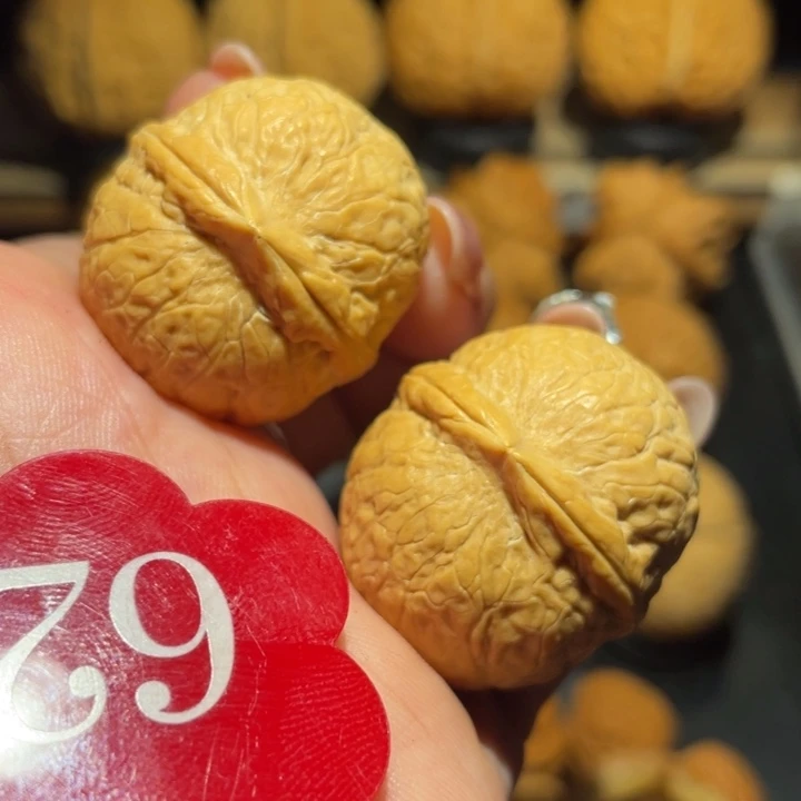 鸽子蛋核桃尺寸32