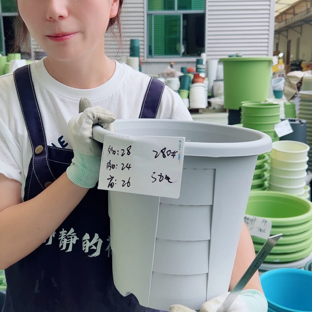玫瑰盆280#灰白5个无托