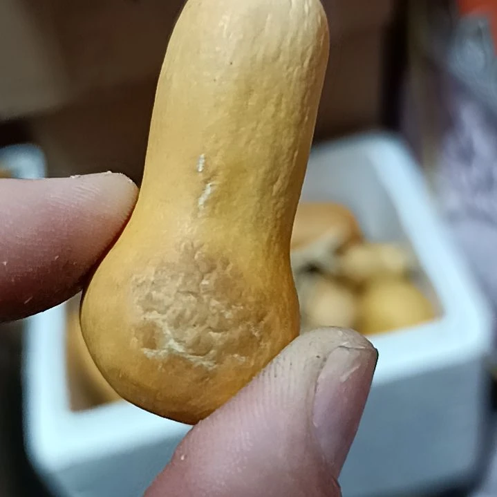 爱*惠葫芦葫芦葫芦葫芦葫芦