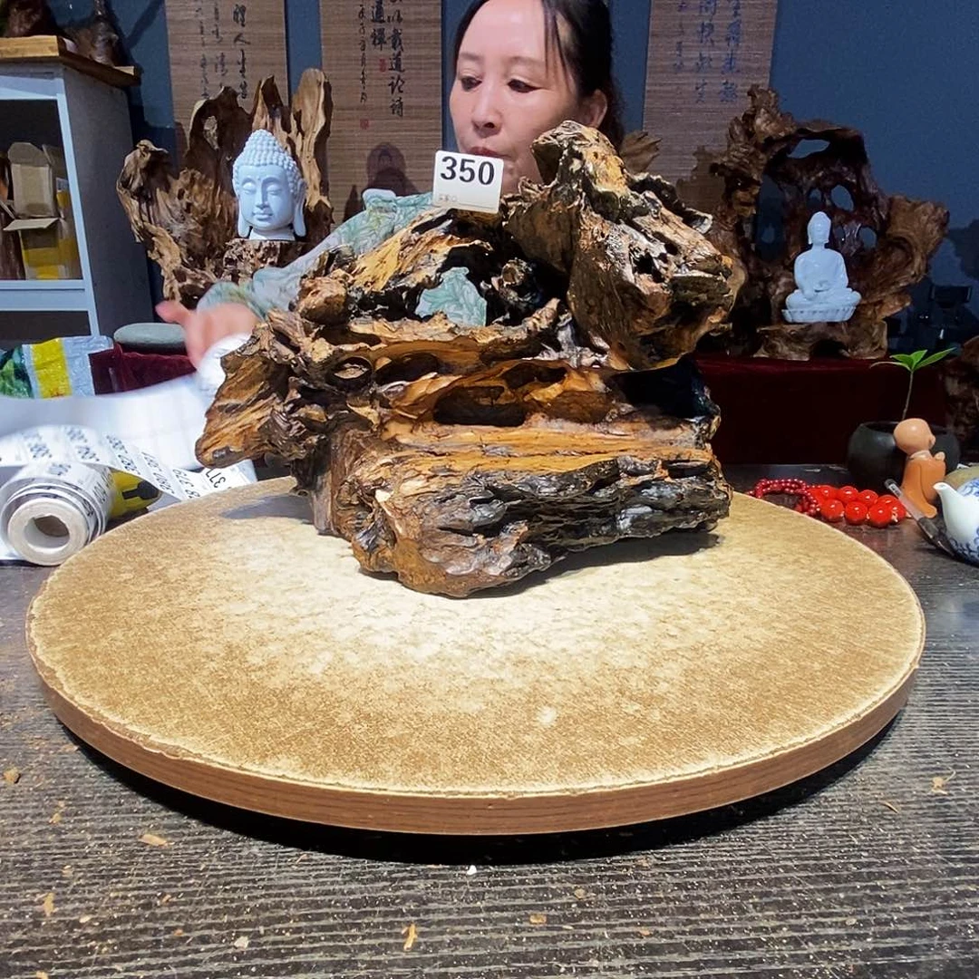莱***司350。株木随行根艺