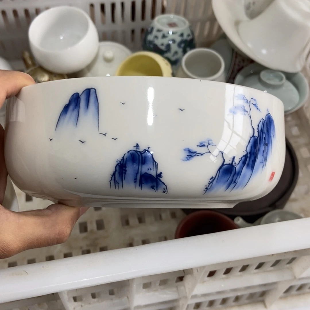 杯直播链接直播链接
