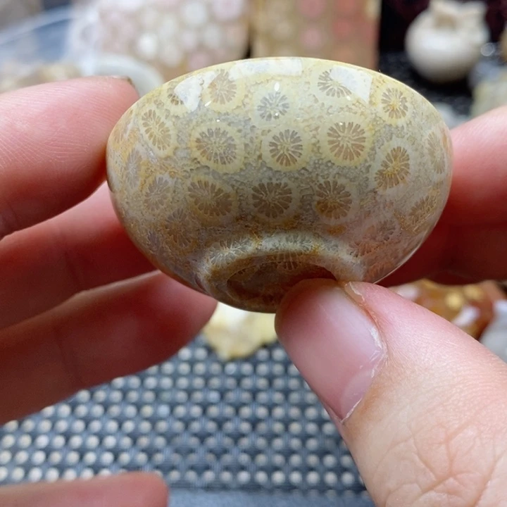 硅化珊瑚（珊瑚玉）颈饰未镶嵌