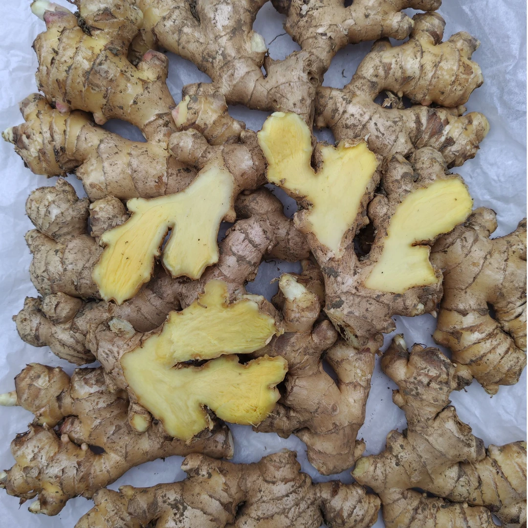 贵州凯里高山小黄姜