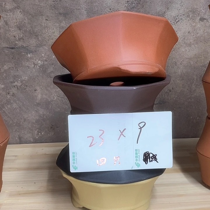 紫砂花盆我在外面