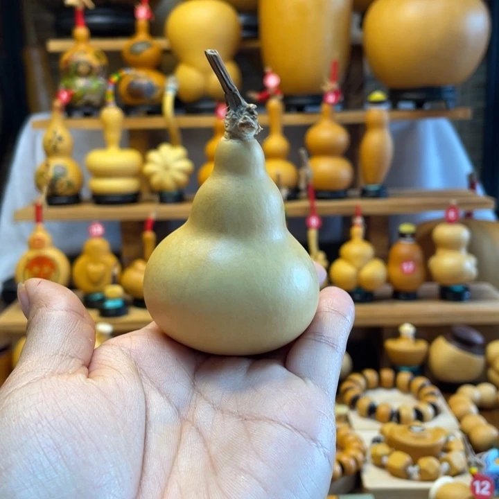 棉***糖天然葫芦自然生长