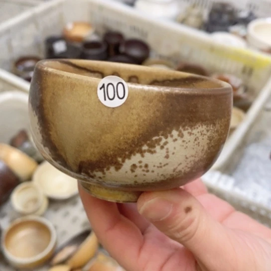 福利福利活动等活动中的