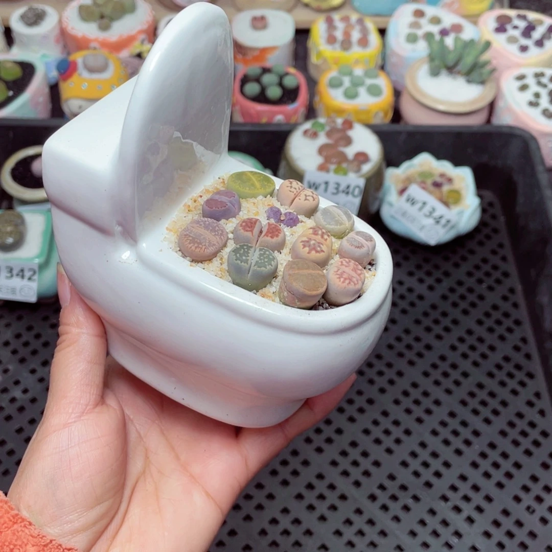 w1345 -零下地区拍保温箱-15支持寄养