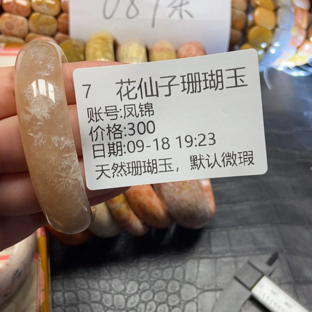 凤***锦未镶嵌硅化珊瑚（珊瑚玉）珠宝半成品7