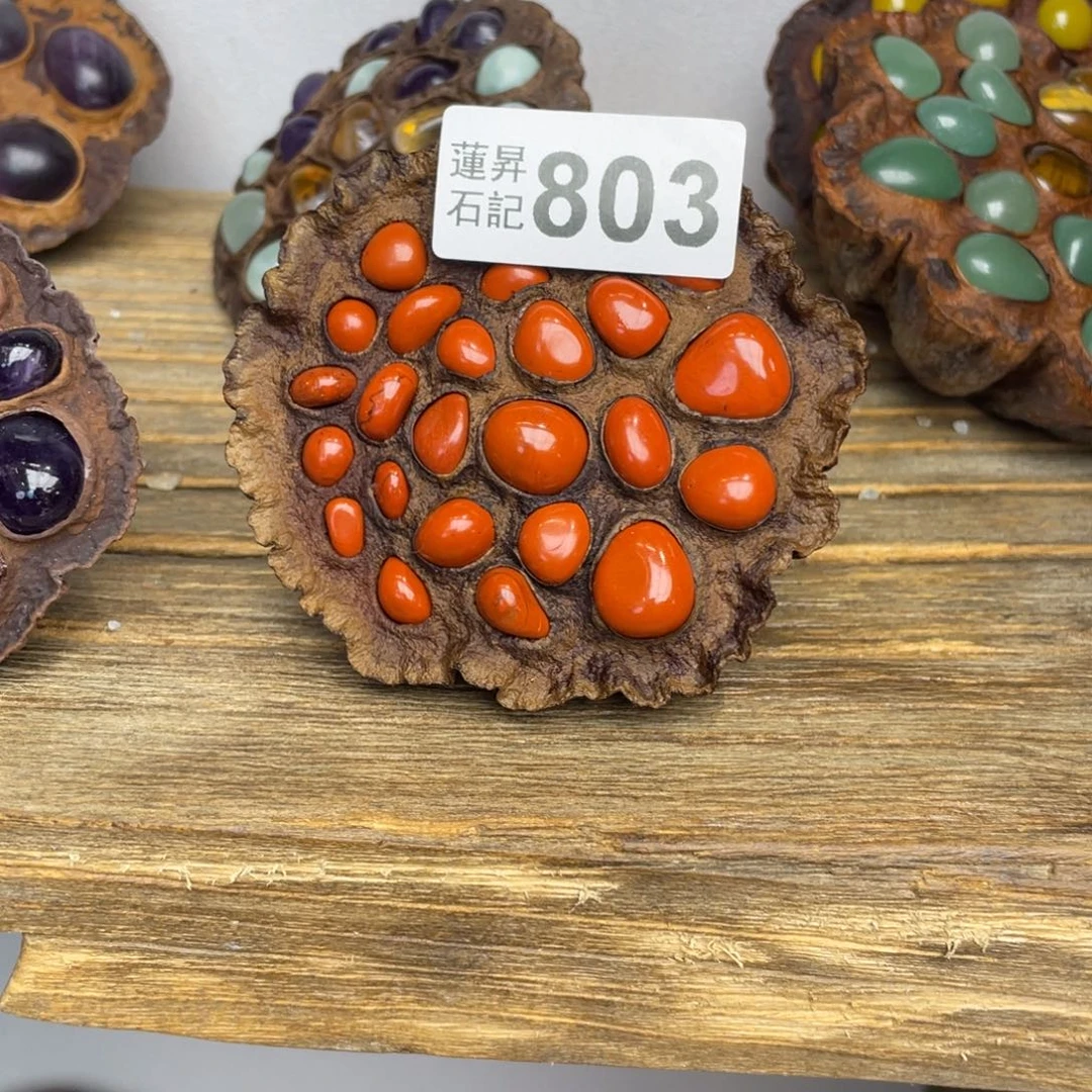 核桃木/黑胡桃（胡桃木）菊*803