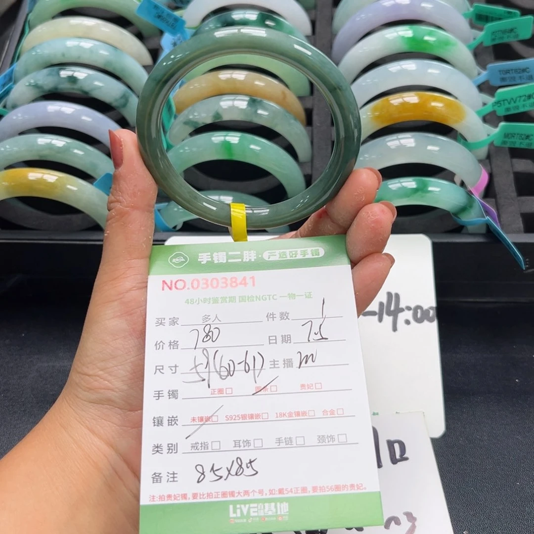 翡翠手镯未镶嵌湖水绿