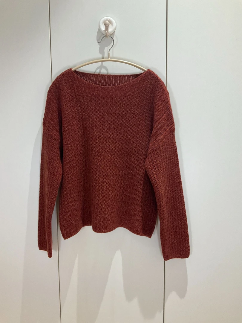 春秋季网红时尚纯绵羊毛长袖毛针织衫上衣女百搭