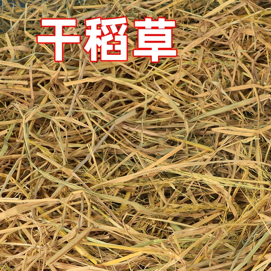 干稻草垫窝狗 猫 鸡 鸭 鹅兔草窝冬季宠物垫窝铺窝取暖防寒软稻草