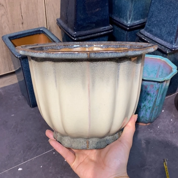 紫砂花盆一***错福利来啦