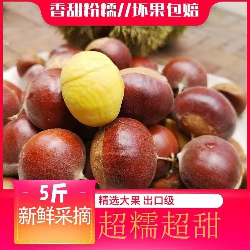 2025丹东头茬板栗5斤现摘现发软糯香甜难剥皮坏果包赔