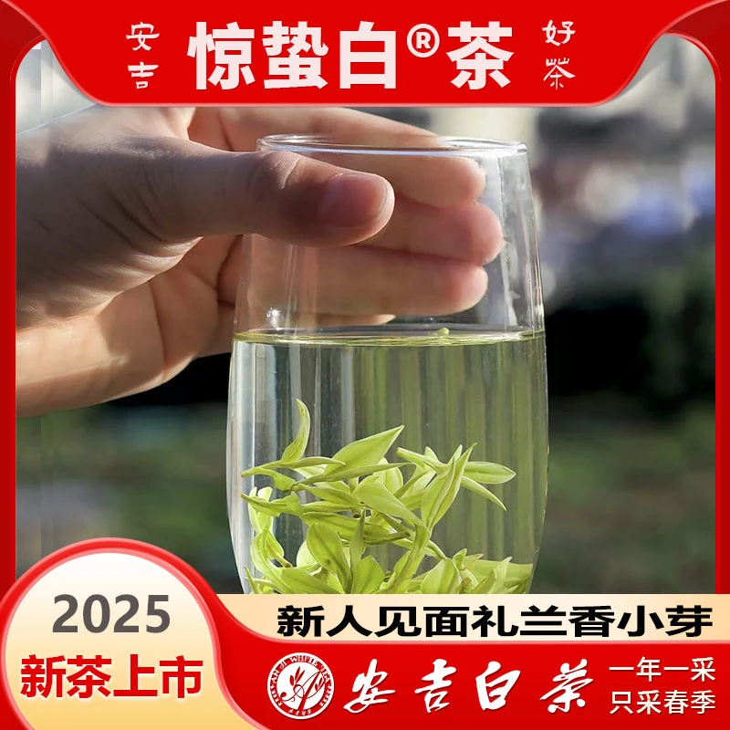 【安吉白茶礼盒】安吉原产地2025新茶安吉白茶官方正品特级浙江安吉