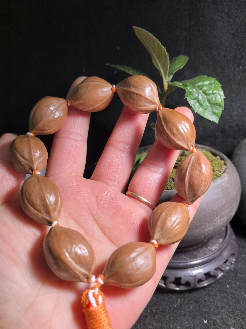 原生态老树红皮铁核19✕26素串手持