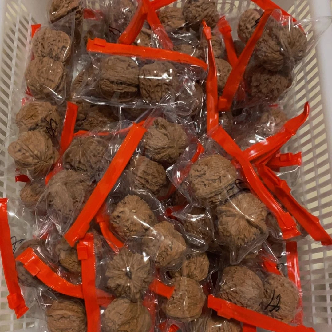 吊坠文玩核桃磨盘40-41练手对（不退不换）