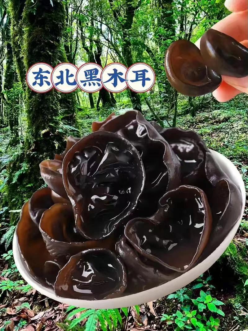 东北特产黑干木耳正宗（无增重、无熏硫、无干燥剂）