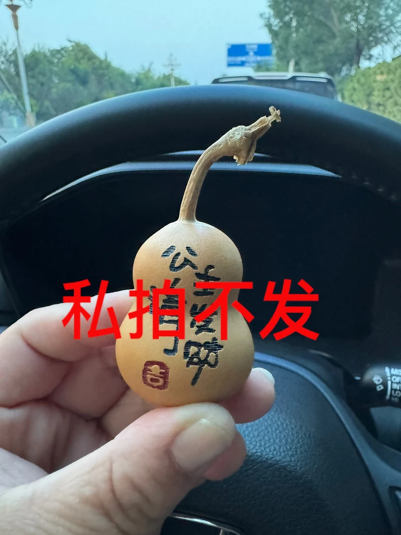 手把件带龙头小葫芦手捻把玩