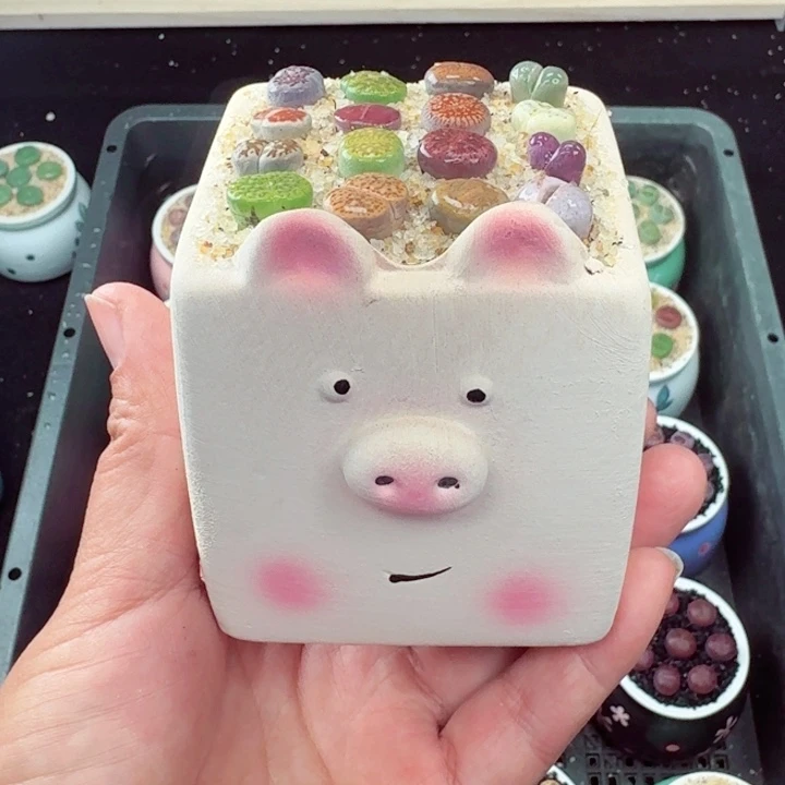 534凑满18包邮零下地区记得拍保温箱