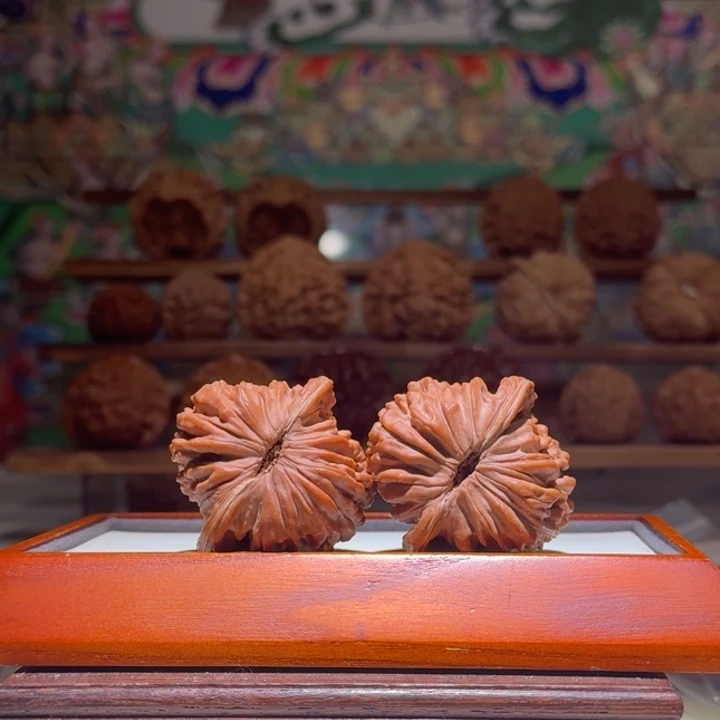 44四座楼红皮饱满精品