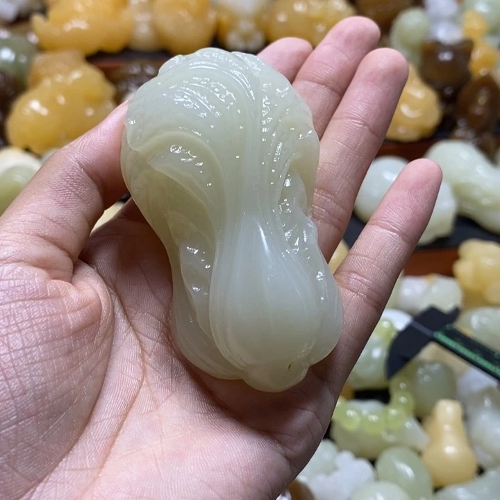 完全开放青色白菜