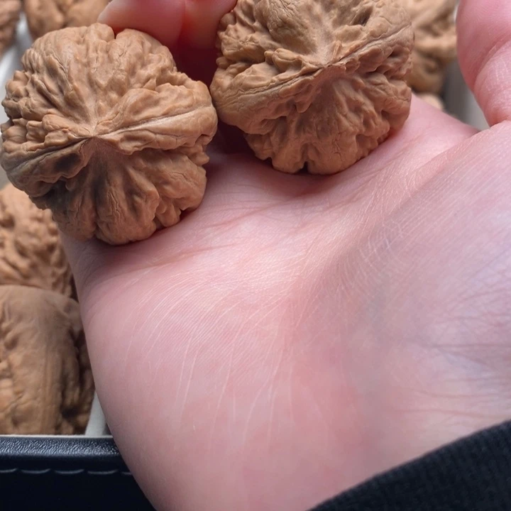 舞***T霸王龙全品无修一刀没动