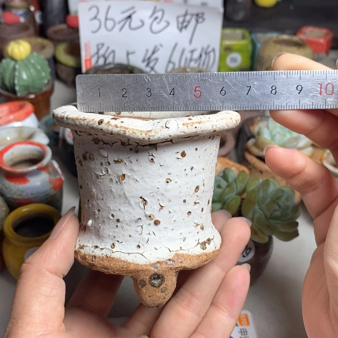 拍5送一个小礼物