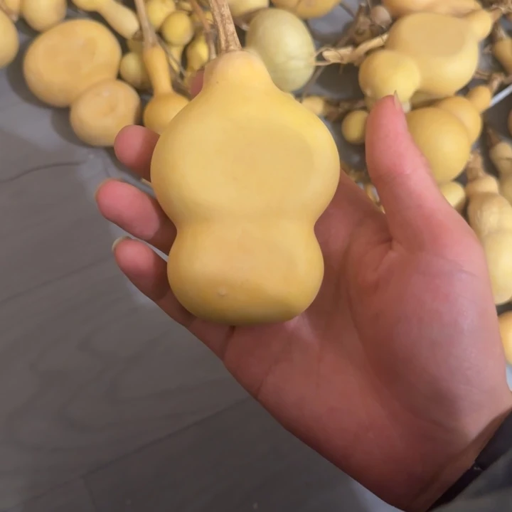 爱***儿大叶紫檀（黑酸枝木类）