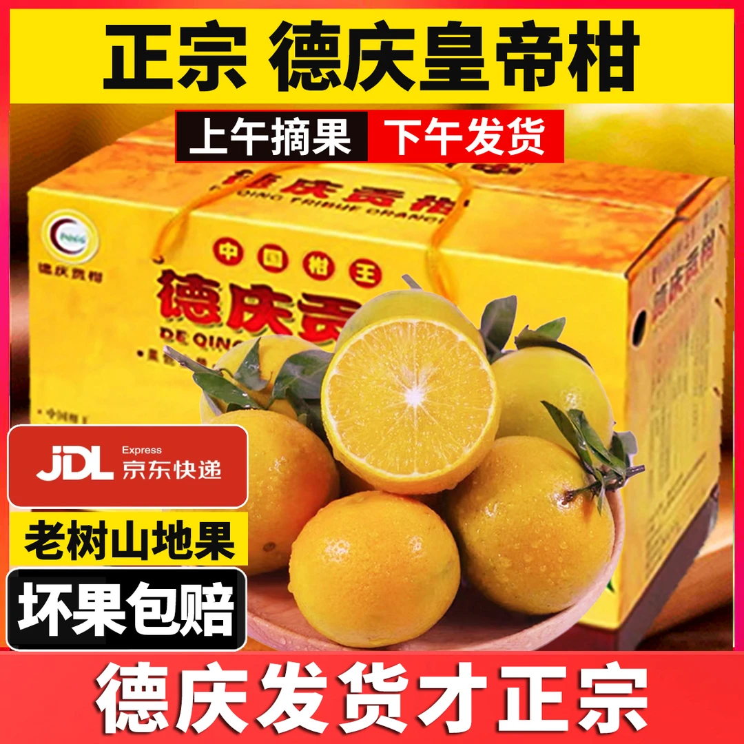 正宗德庆皇帝柑中大果新鲜水果当季整箱果冻橙柑橘蜜桔子橘耙耙柑