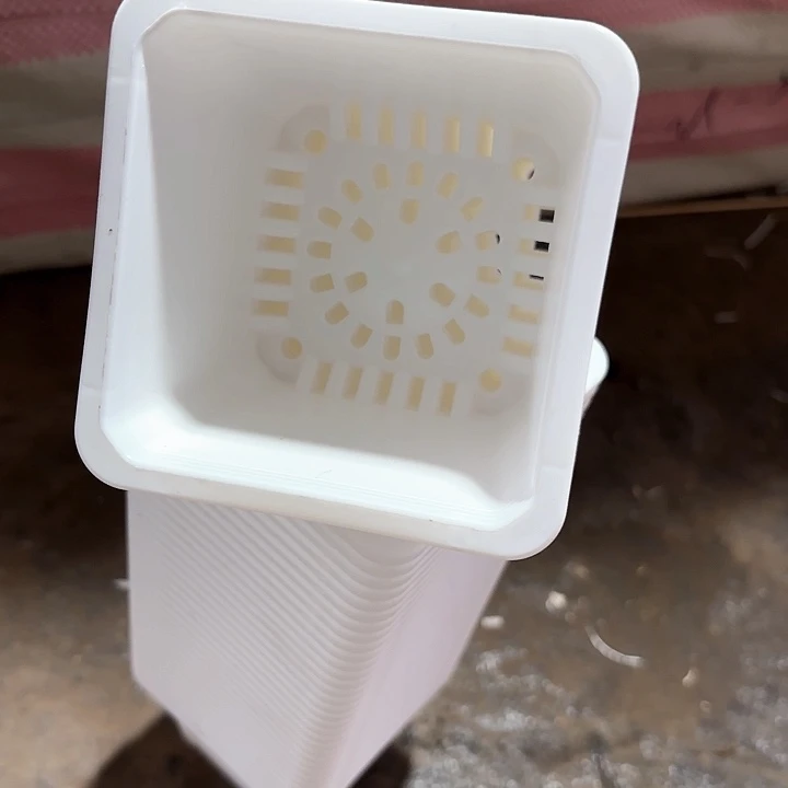 100白方盆9公分高7公分30个