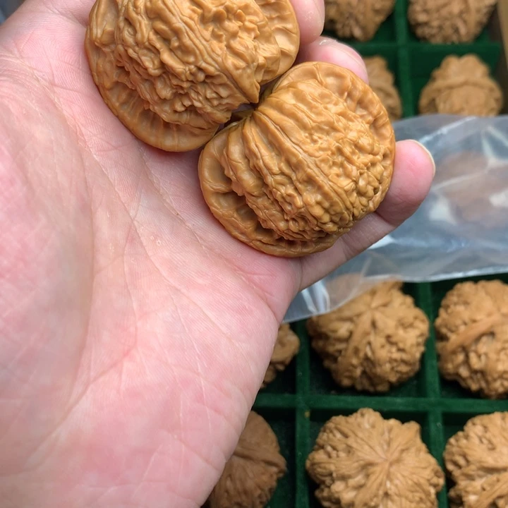 w***_核桃把件44全品白狮子