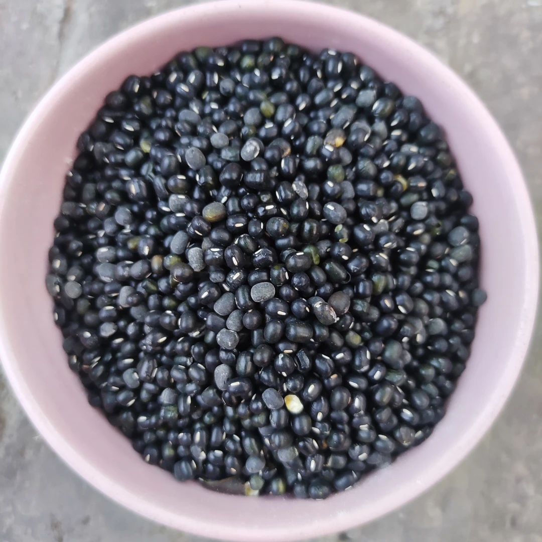 山西老品种黑皮绿豆深山农家自种墨绿豆稀有品种